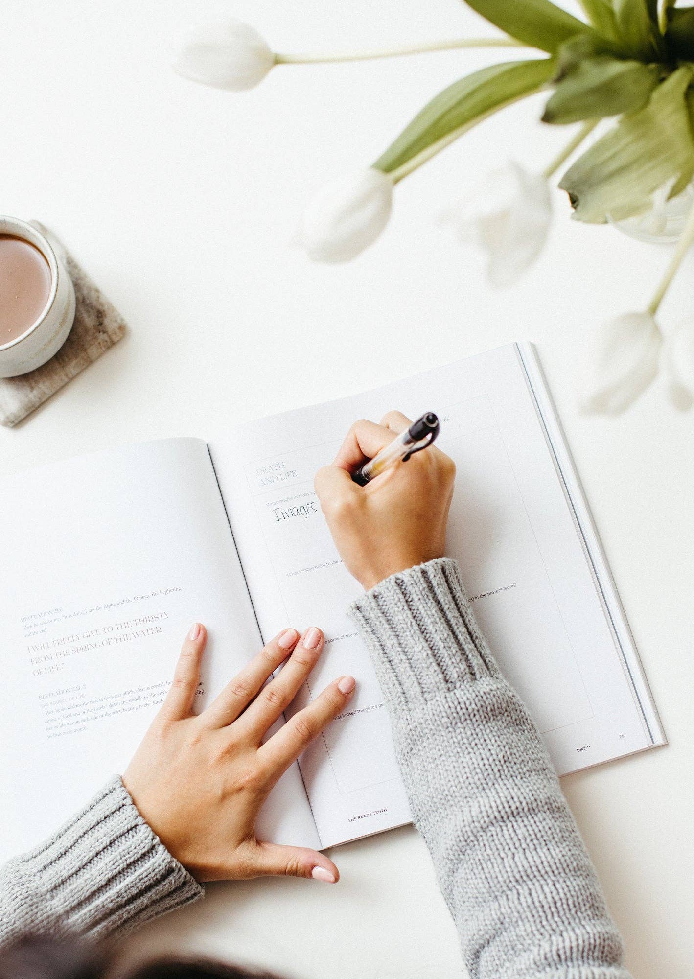 She Reads Truth - Wholesale Religion Book - Everything New Women's Reading Guide2