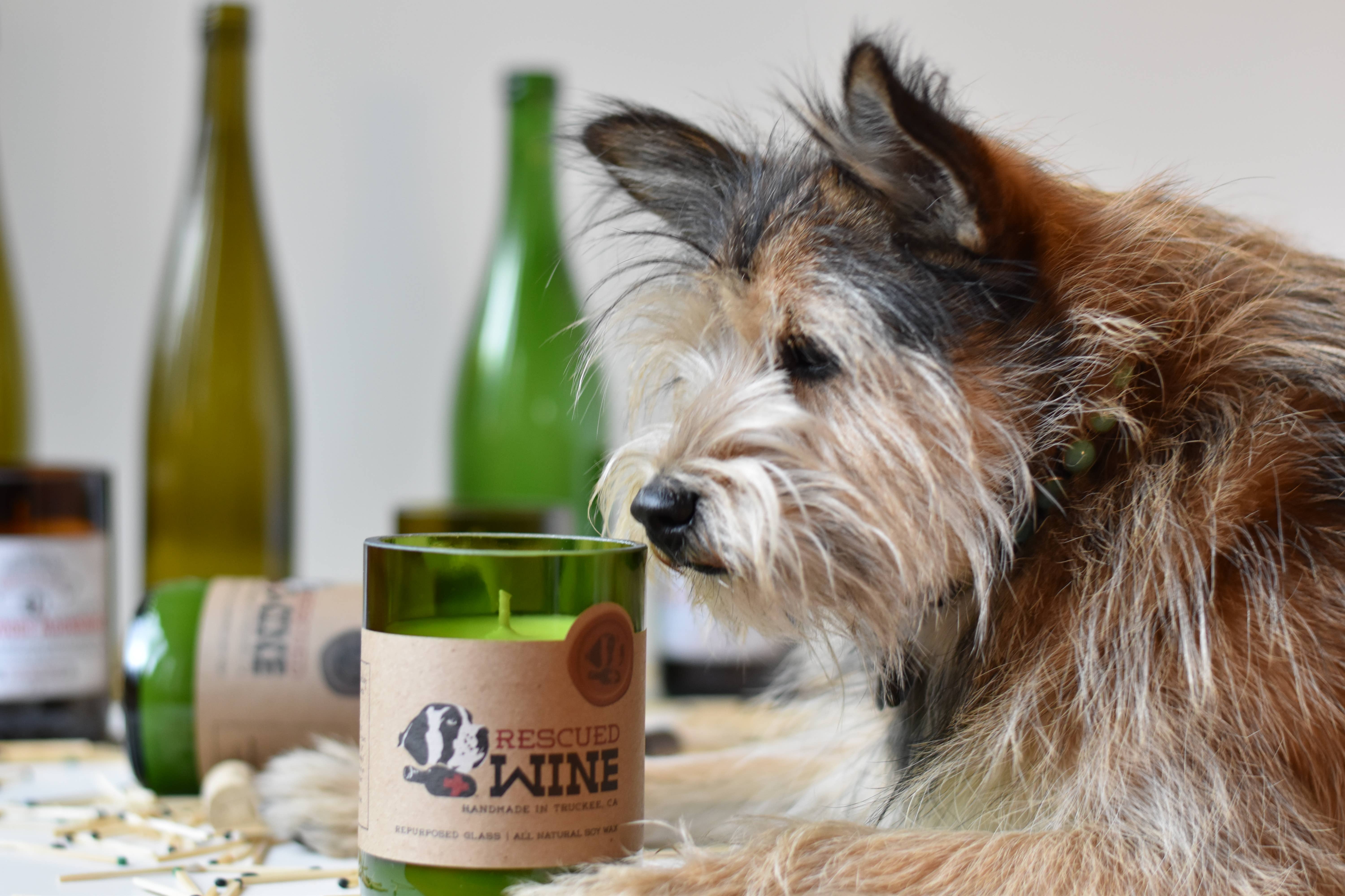 Rescued Wine Candles - Venta al por mayor Velas en tarros - Vela de soja Wine Country - Balance - Regalos para mujeres4