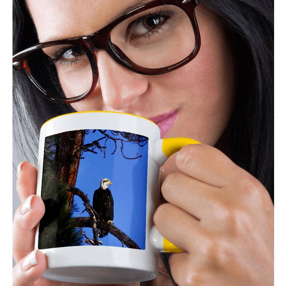 3dRose - Wholesale Coffee Mug - 3dRose, Washington, Methow Valley. Immature Bald Eagle - NA02 WSU0008 - William Sutton, Mug1