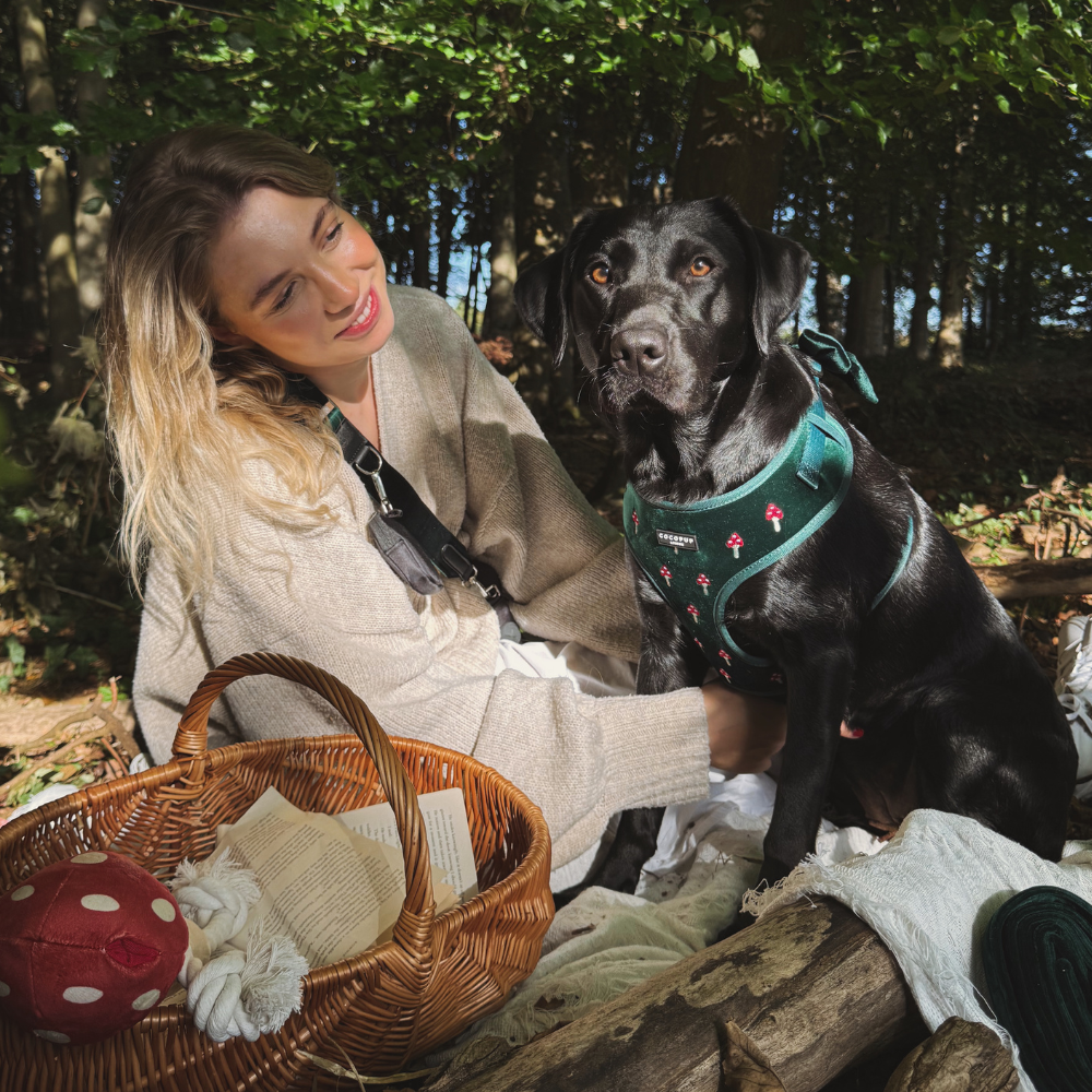 Cocopup London - Wholesale Pet Harness - Dog - Toadstool Trails Adjustable Neck HARNESS3