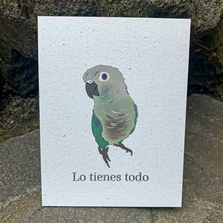Lo tienes todo - Green Cheek Conure für den Großhandel von Hakuna Matata Vibes
