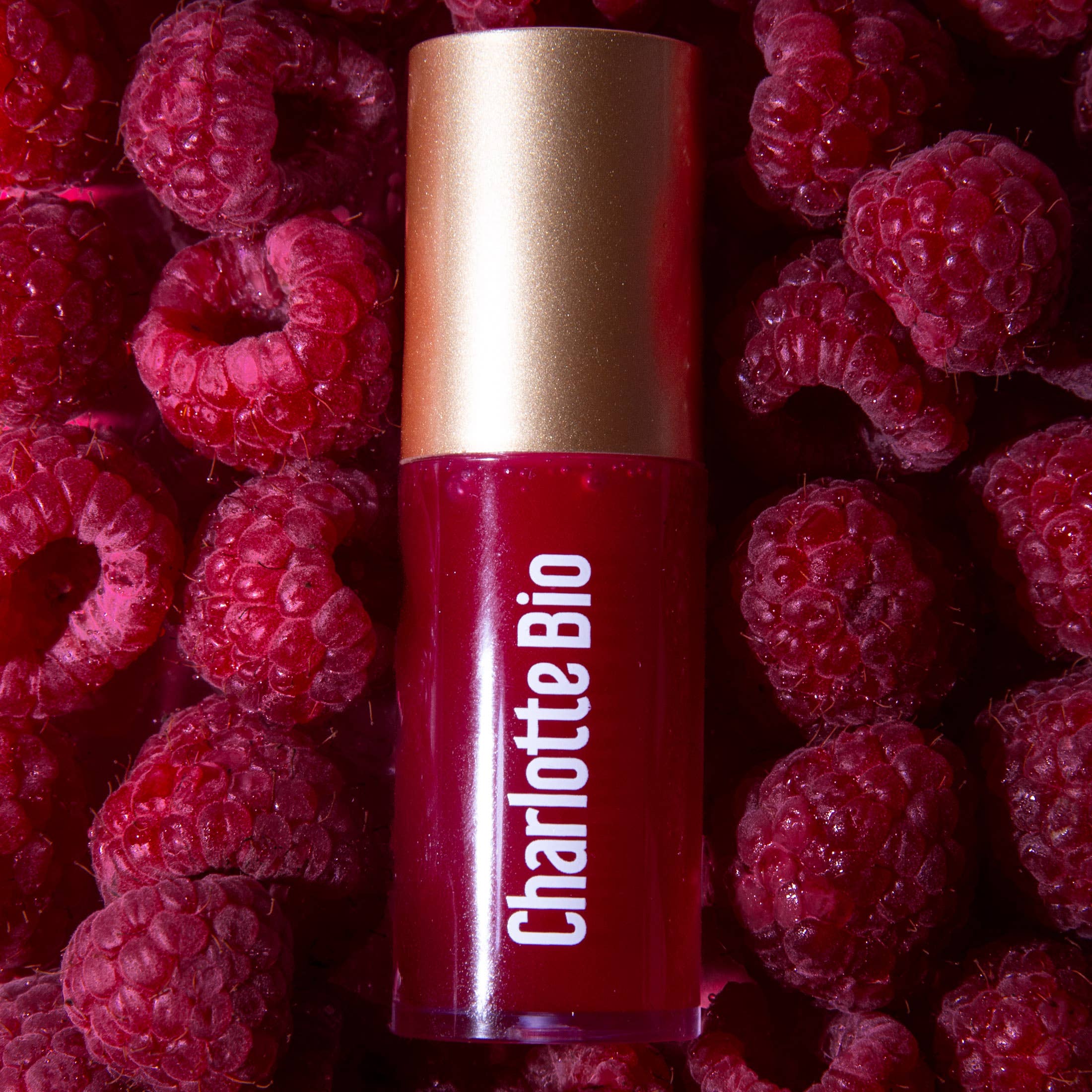 CHARLOTTE BIO - Venta al por mayor Brillos de labios - Aceite labial9