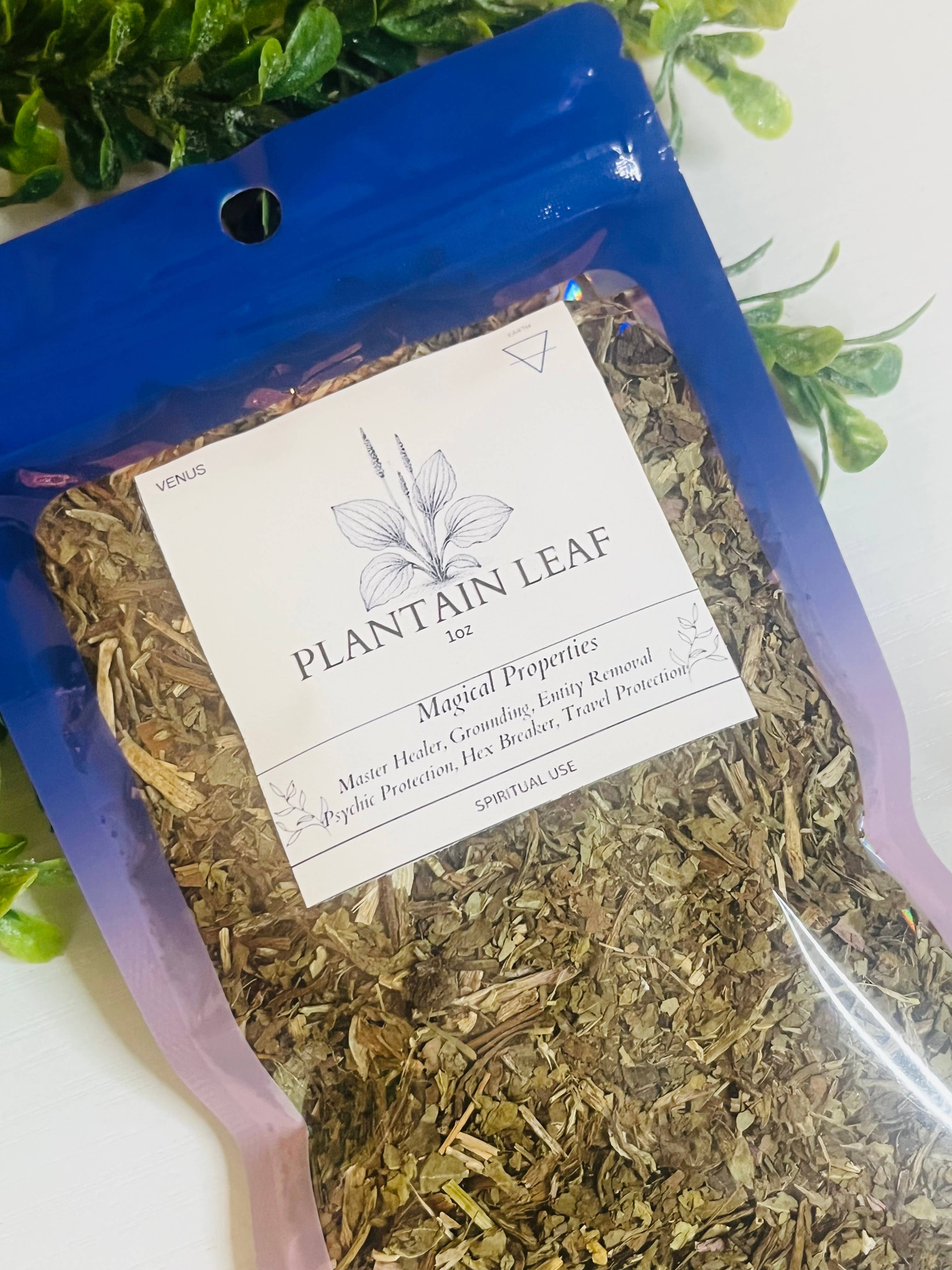 Moonsence - Wholesale Herbs - Plantain Leaf- 1oz Herb 1