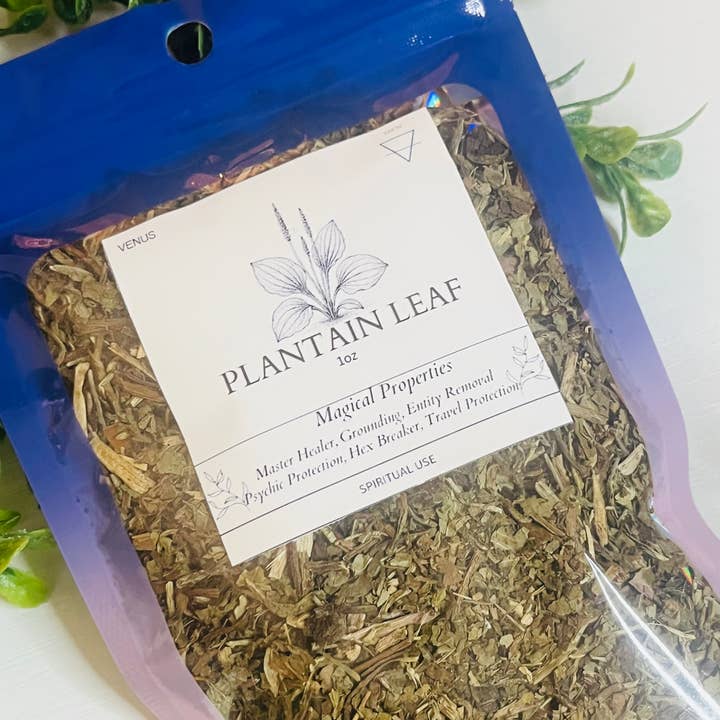 Moonsence - Wholesale Herbs - Plantain Leaf- 1oz Herb 1