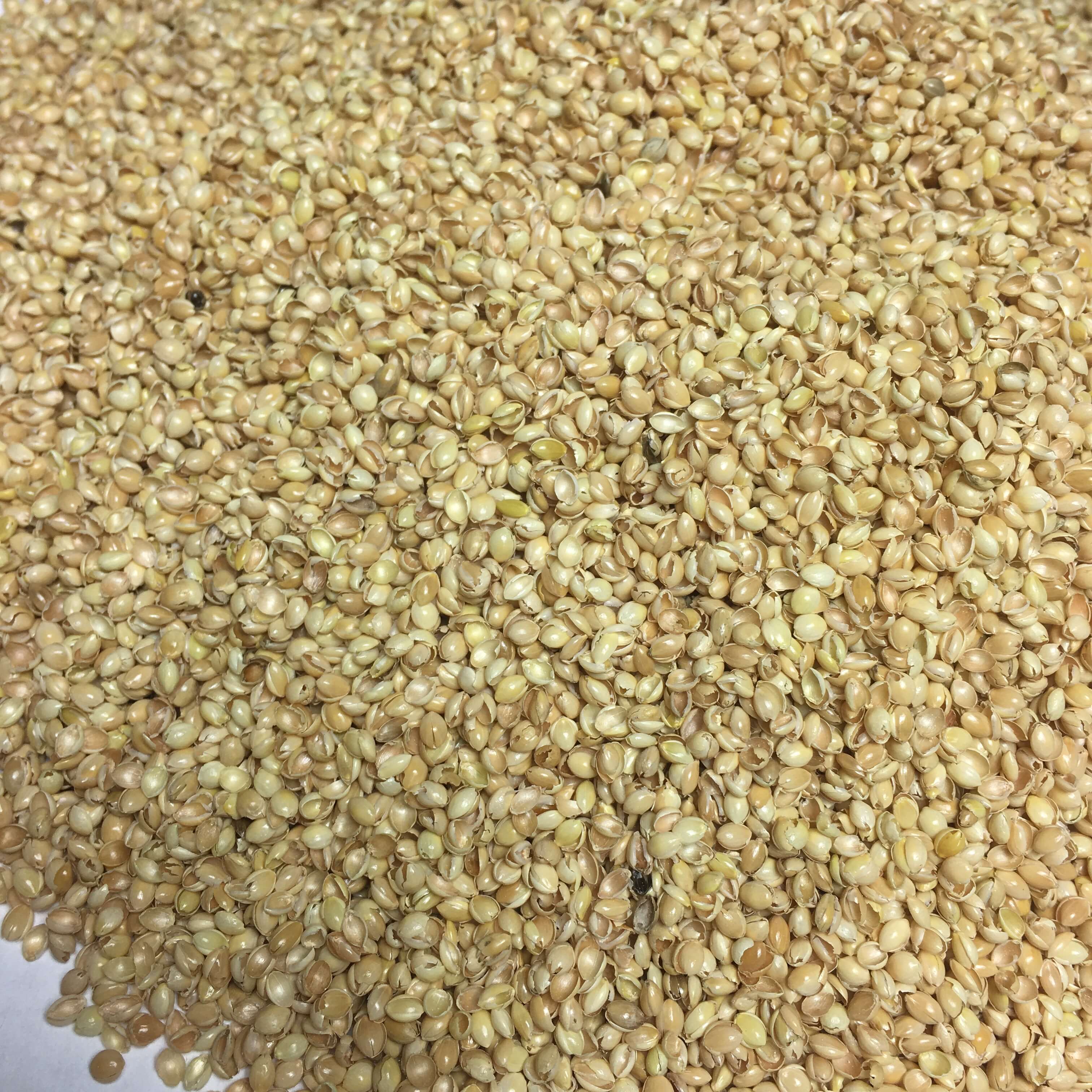 Pat & Patty - Vente Inserts d'oreiller - Coques de millet biologiques, 20 kg2