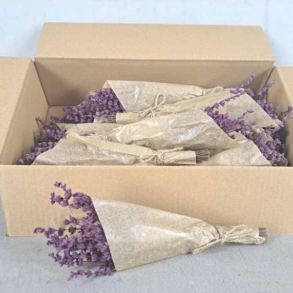 Dutch Flower Studio - Wholesale Dried/Pressed Flowers - Preserved lavender - Mini bouquet 25 cm - Dried flowers