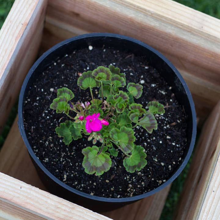 The McGarvey Workshop - Wholesale Planter Box - Outdoor Cedar Planter6