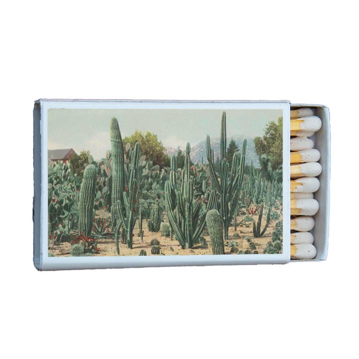 Cactus Garden California Matchbox • Candle Acc • Matches for wholesale by Most Amazing