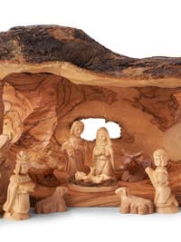 Olive Wood Solid Branch Stable for wholesale by Earthwood