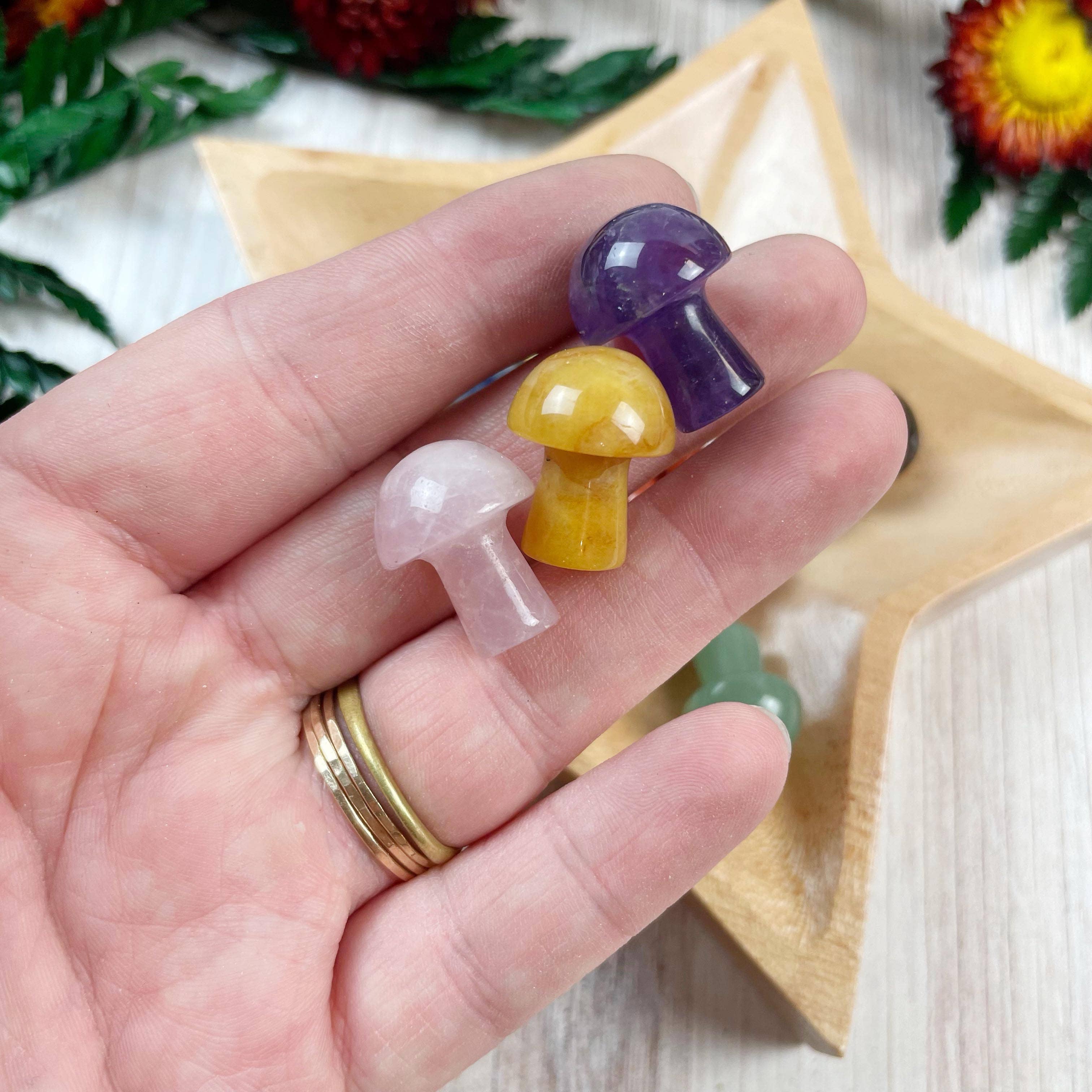 Ewelina Pas Jewelry - Wholesale Spiritual Stone/Crystal - MINI Gemstone Mushroom Pocket Stone5