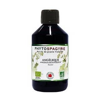 Fitospagiria de Planta Angélica* 300ml por atacado de Vecteur Energy