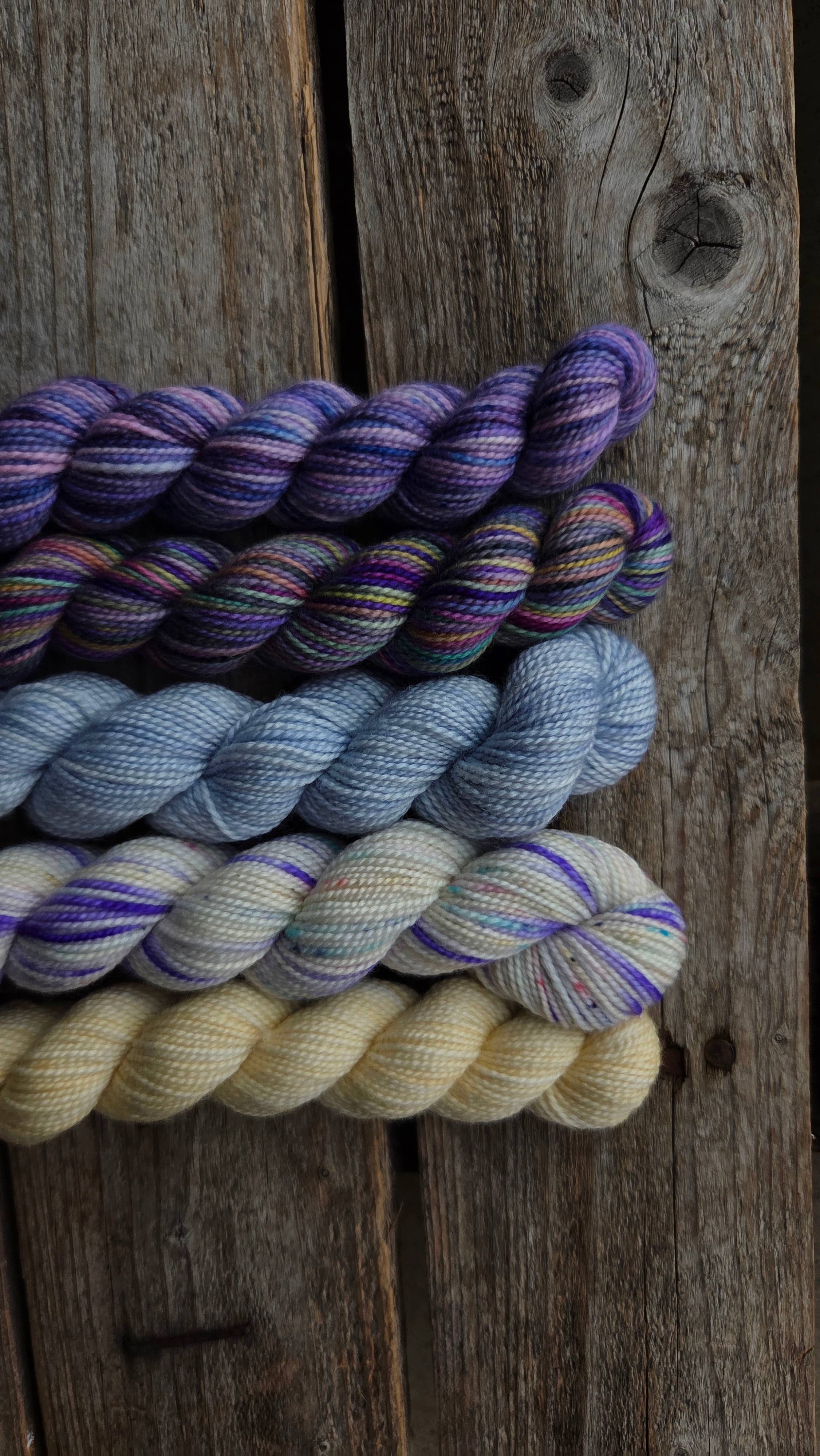 Koigu Wool Designs - Vente Fils à tricoter - Boîtes de Peinture de Fleurs Provinciales (ensembles de mini-écheveaux)34