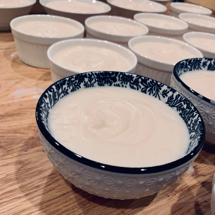 Feel Good Market - Wholesale Dish Soap - Solid Dish Soap in Bowl1