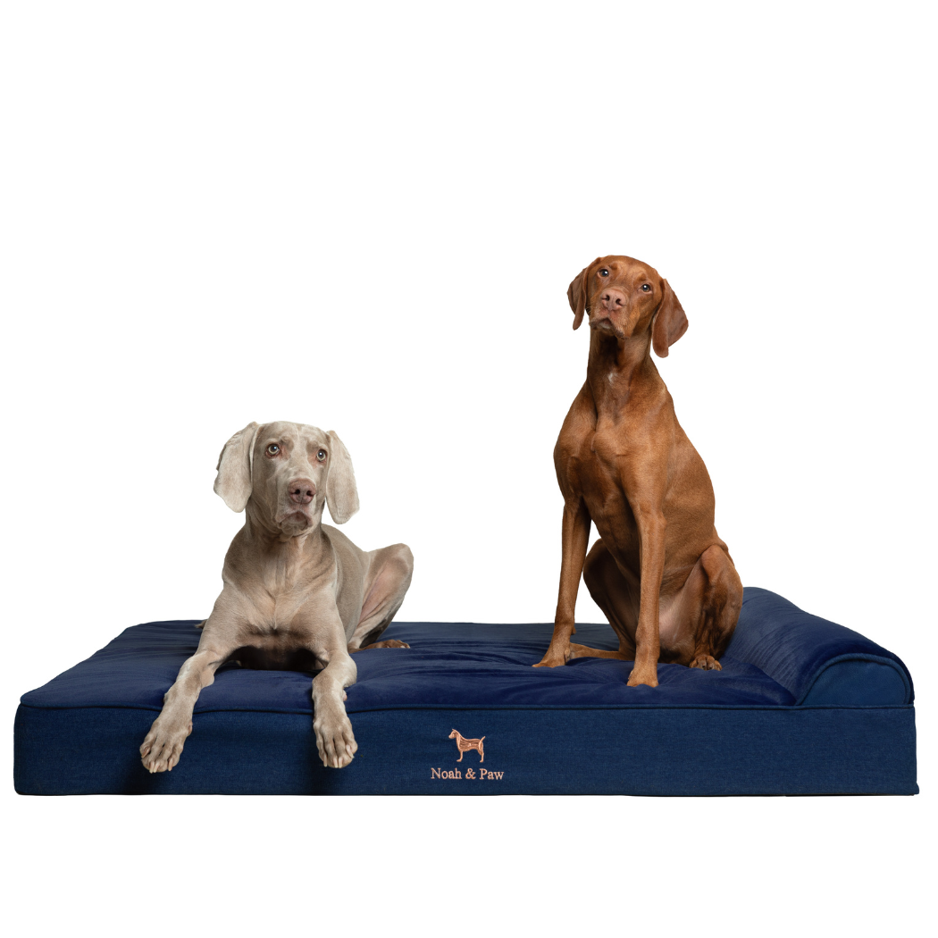 NOAH AND PAW LLC – wholesale Pet bed – Cat/dog – Denim Orthopedic Pet Bed, Memory Foam, Infused with Cooling Gel - Classic10