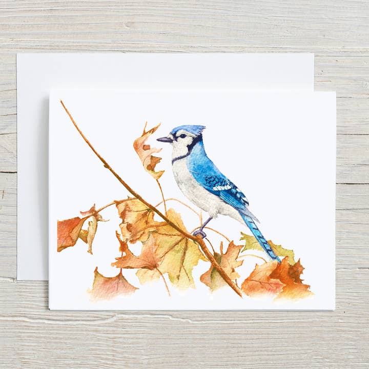 Bird hand painted greeting card, Bluejay, fall stationary for wholesale by Liz Pope Designs