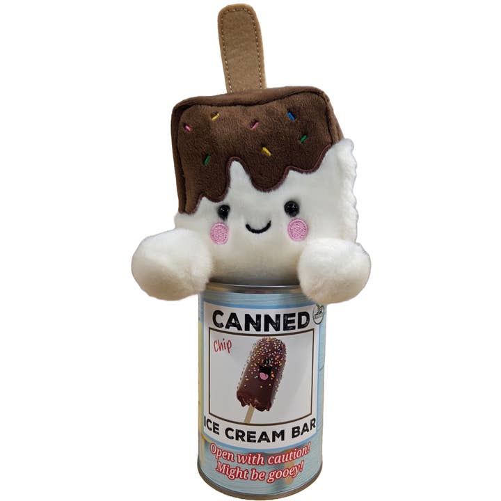 Canned Gifts - Venta al por mayor Regalo de broma/detalle - Barra de Helado en Lata | Delicia de Verano | Regalo de Peluche con Chistes