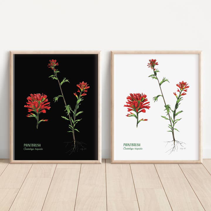 Paintbrush print for wholesale by Madrona Press