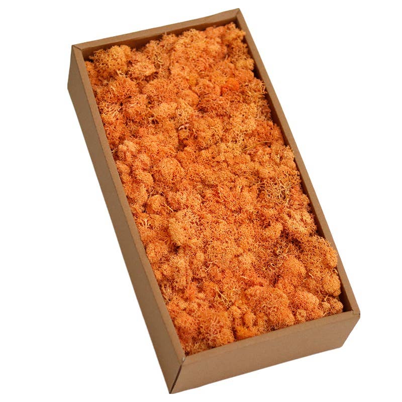 Floral Fields – wholesale Dried/pressed flowers – Preserved Moss for Crafting, 500g7