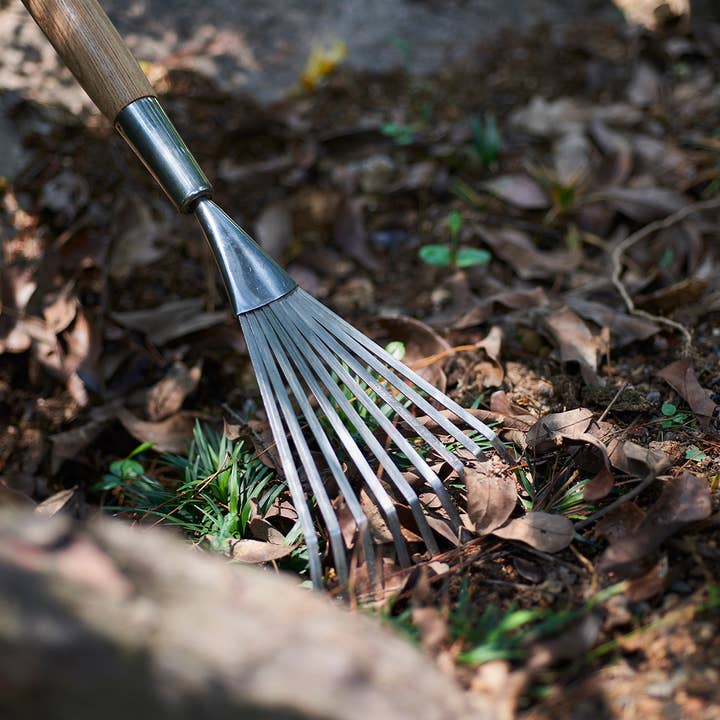 blad kost for engroshandel hos Schnittzeiten