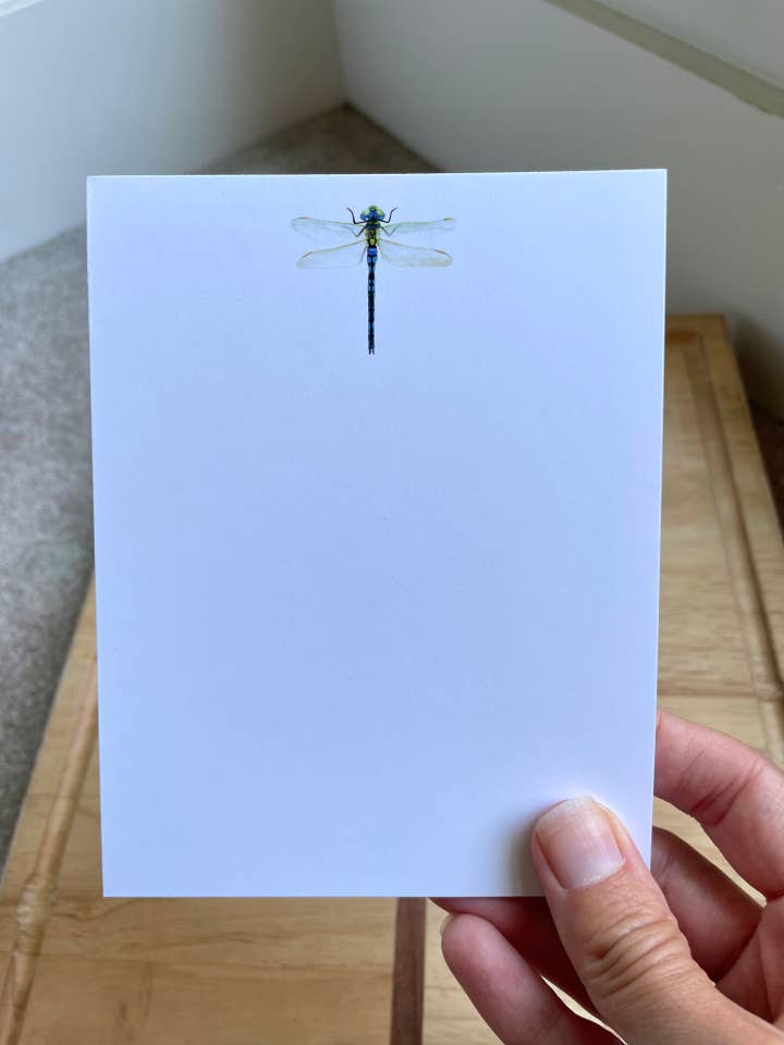 12 Pack - A2 Flat Stationary Set - Dragonfly for wholesale by Kristin Schmidt Artist