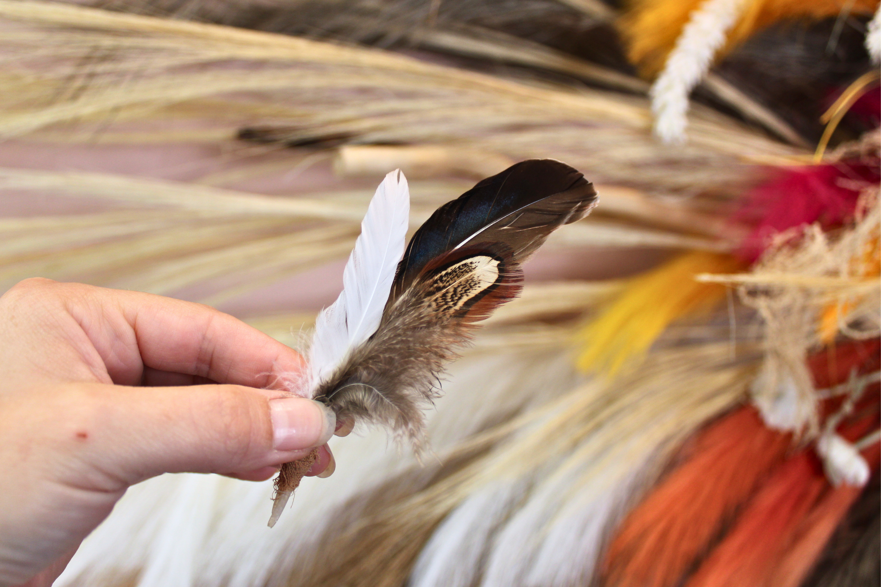 Wildflowers and Barley - Wholesale Hat Accessory - Women's - The Scout : Hand-Wrapped Natural Duck + Pheasant Hen Feather Pick3