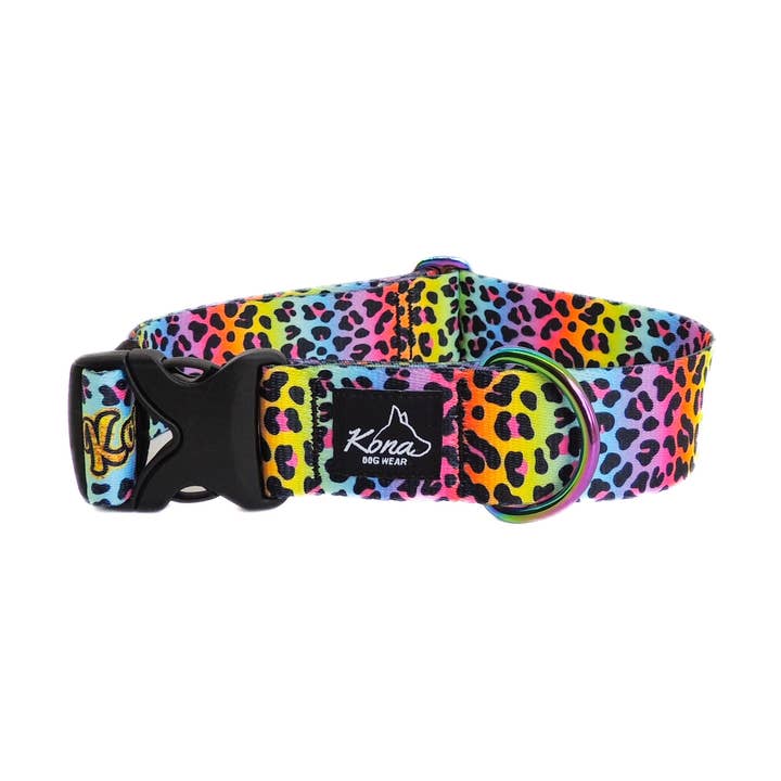 Frankalicious Buckle Collar for wholesale by Kona Dog Wear