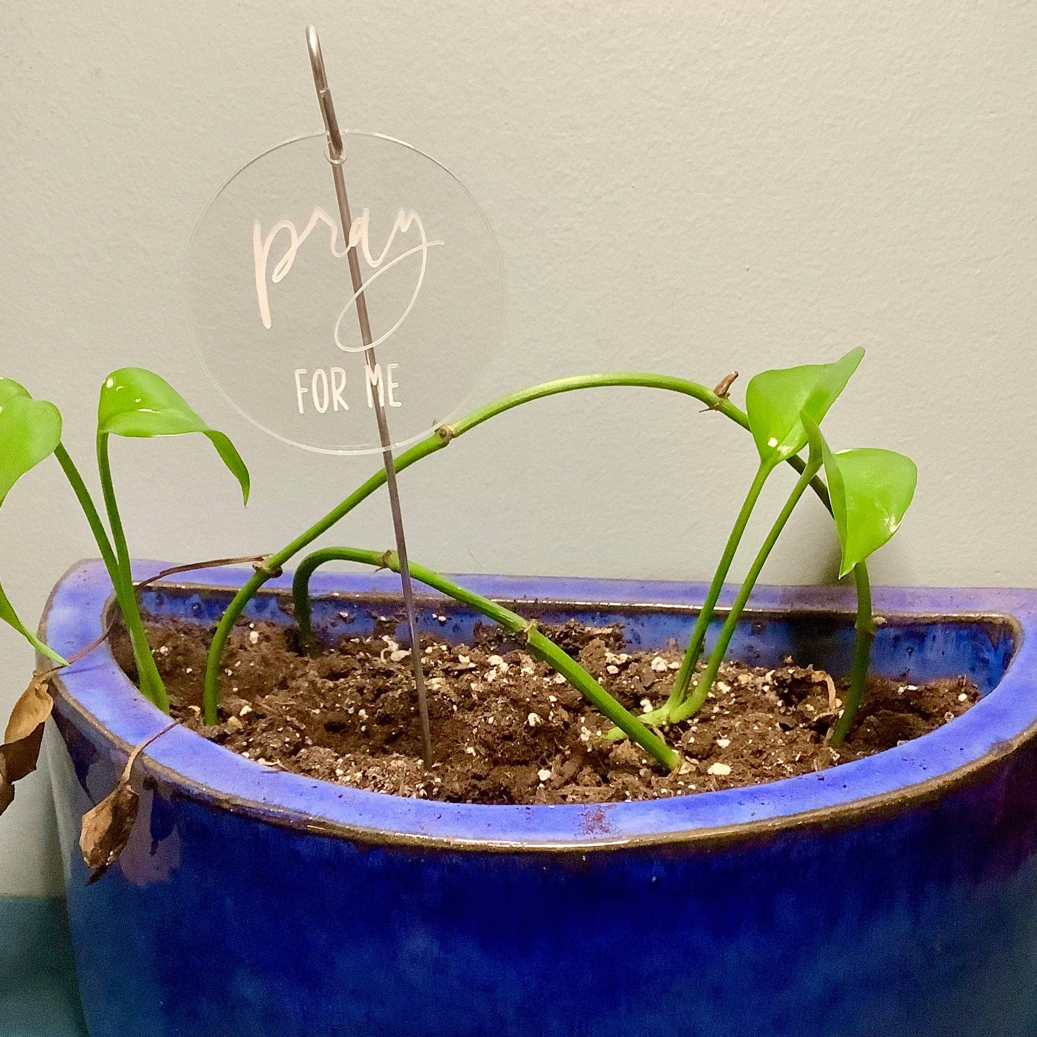 Crawford Custom Engraving - Wholesale Garden/Lawn Stake - Plant and Garden Markers, Plant Puns, Funny Plant Markers8