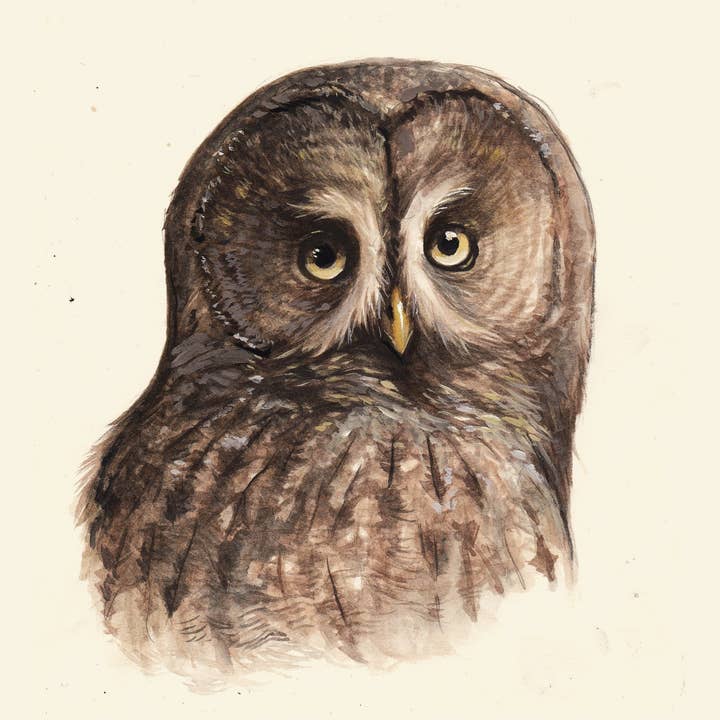 Nordens Fantom for engroshandel hos Jenn Joslin Art & Nature