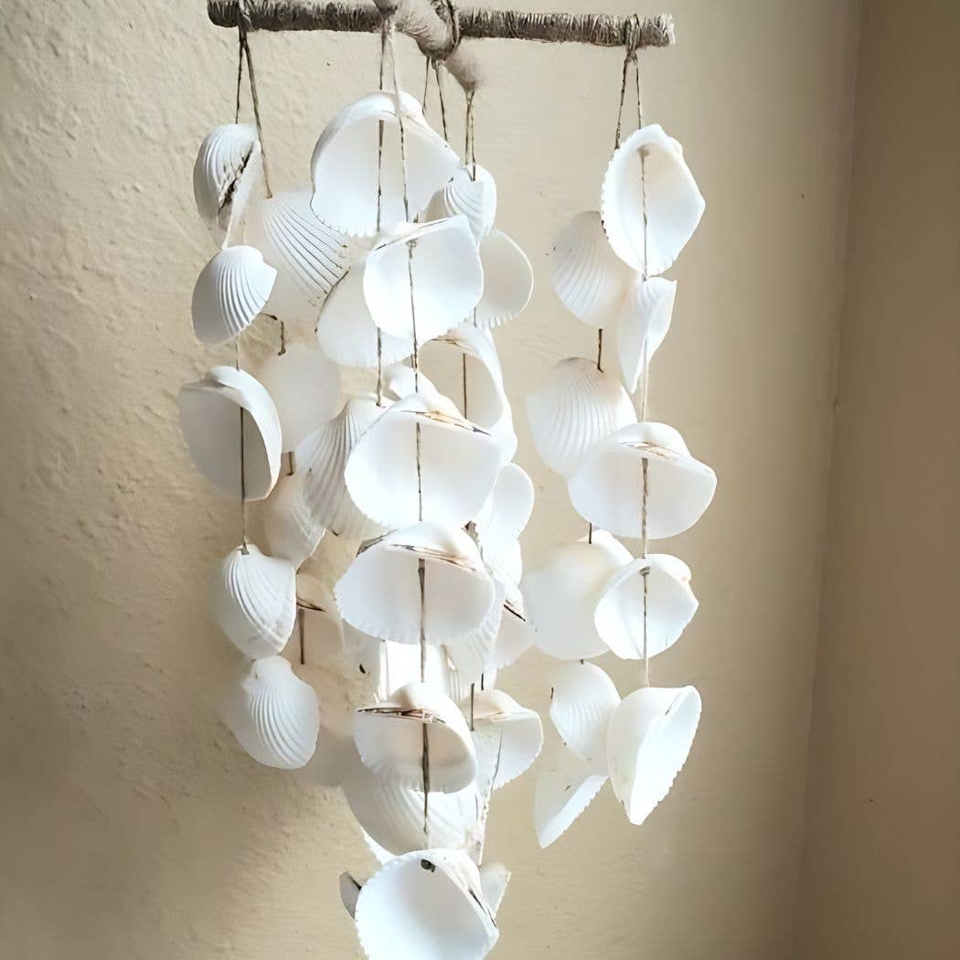 GLifee - Vendita all'ingrosso Decorazioni da tavolo - Conchiglie bianche naturali assortite a forma di cuore per decorazioni e artigianato7