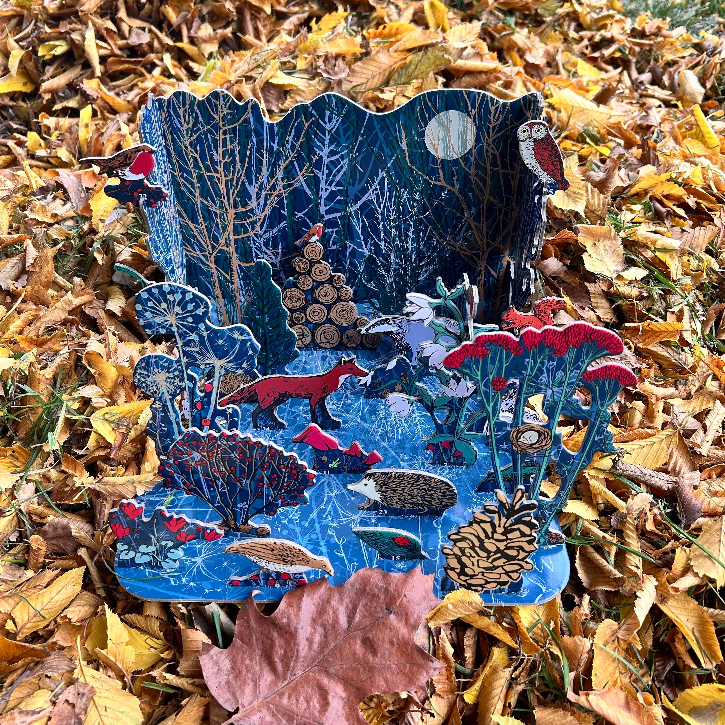 Roger La Borde - Wholesale Advent Calendar - Winter's Tale Pop & Slot Advent Large  - POPAL 6029