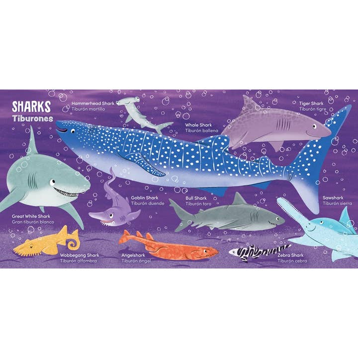 Gibbs Smith - Wholesale Book - Kids - My First 100 Ocean Words in English and Spanish- Lil' Libros