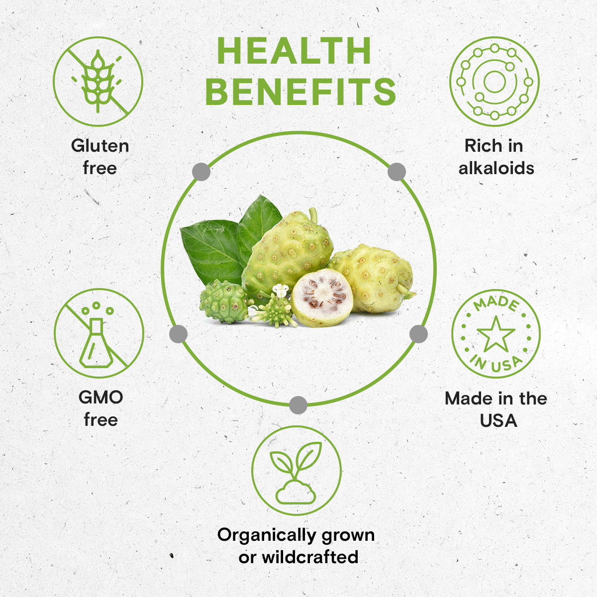 Secrets Of The Tribe – wholesale Tincture – Noni Tincture4