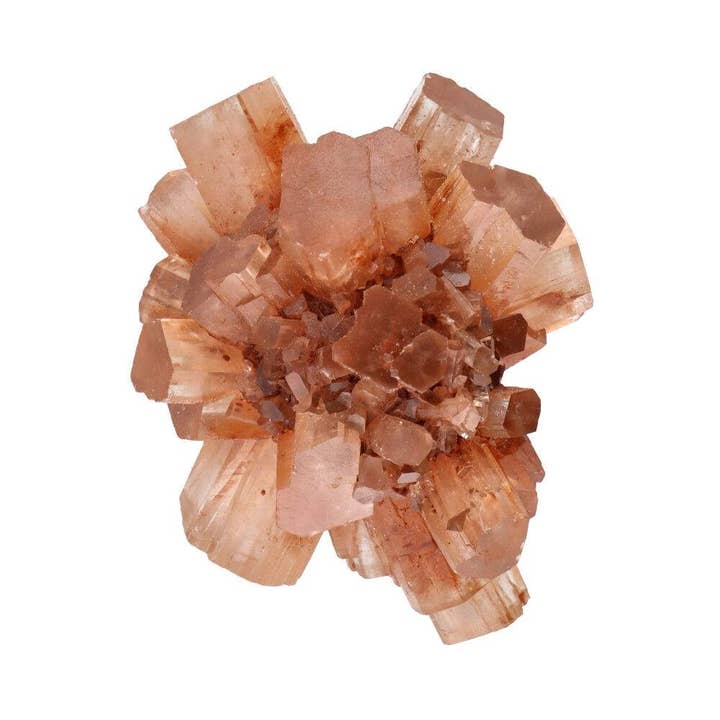 Vives de la Cortada S.L - Vente Pierre et cristal de spiritualité - Petite aragonite à Brutus