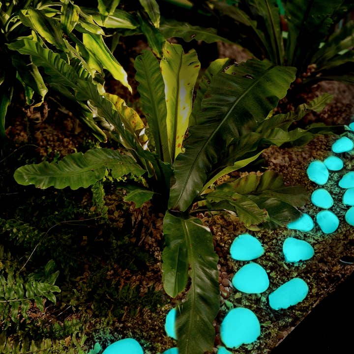 IT GLOWS - Wholesale Stepping Stone - Glow pebbles / Glow in the dark Pebbles / Landscaping pebbles / Garden stones / Eco-friendly / Pebbles / Garden decor / Decorative stones