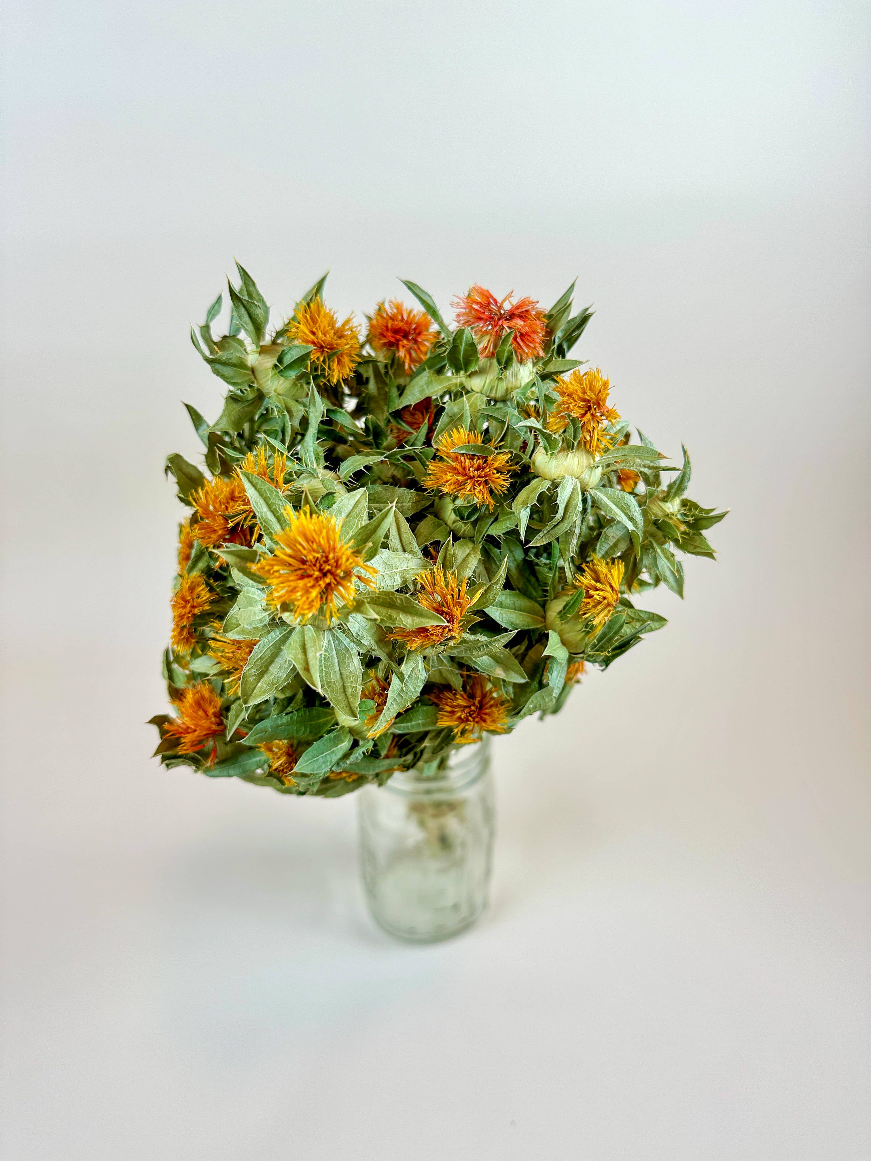 Lovejoy Farms Premium Dried Flowers - Wholesale Dried/Pressed Flowers - Autumn Safflower – Naturally Dried Flowers2