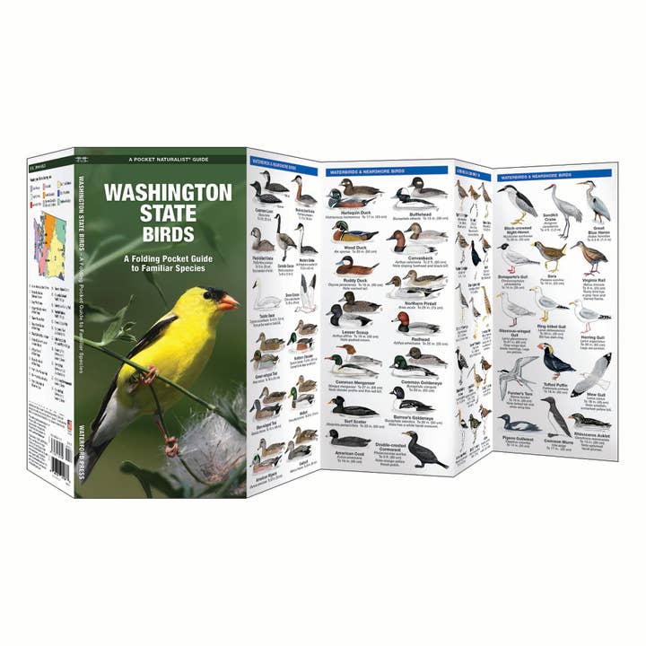 Waterford Press - Wholesale Nature Guide - Washington State Birds Nature Guide