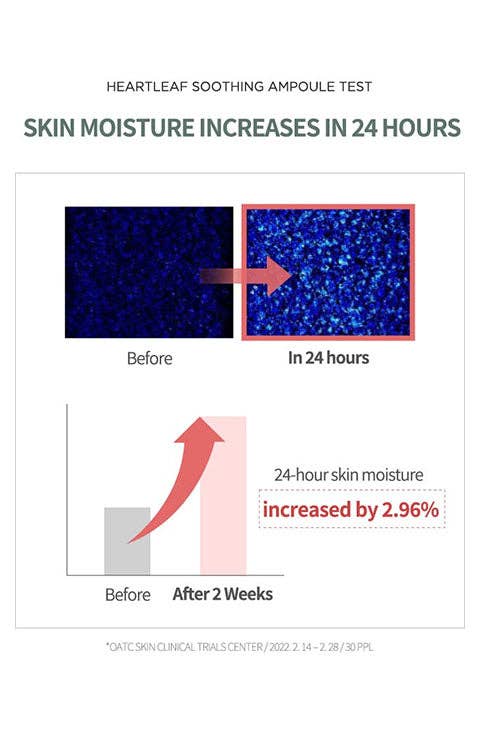 Palace Beauty Galleria - Wholesale Facial Serum/Concentrate - Anua Heartleaf 80% Soothing Ampoule 30ml / 1.01 fl.oz.5