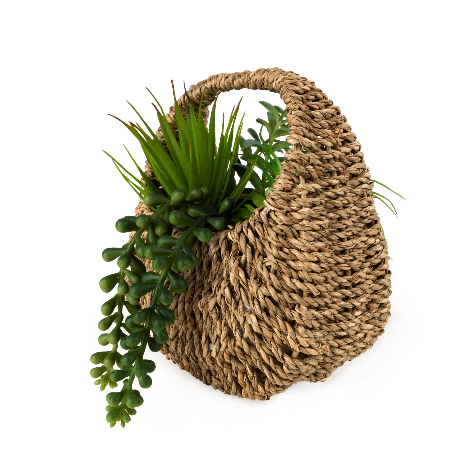 Candlelight Products Ltd – wholesale Succulent – 20cm Succulent in Handbag Basket 6PK1