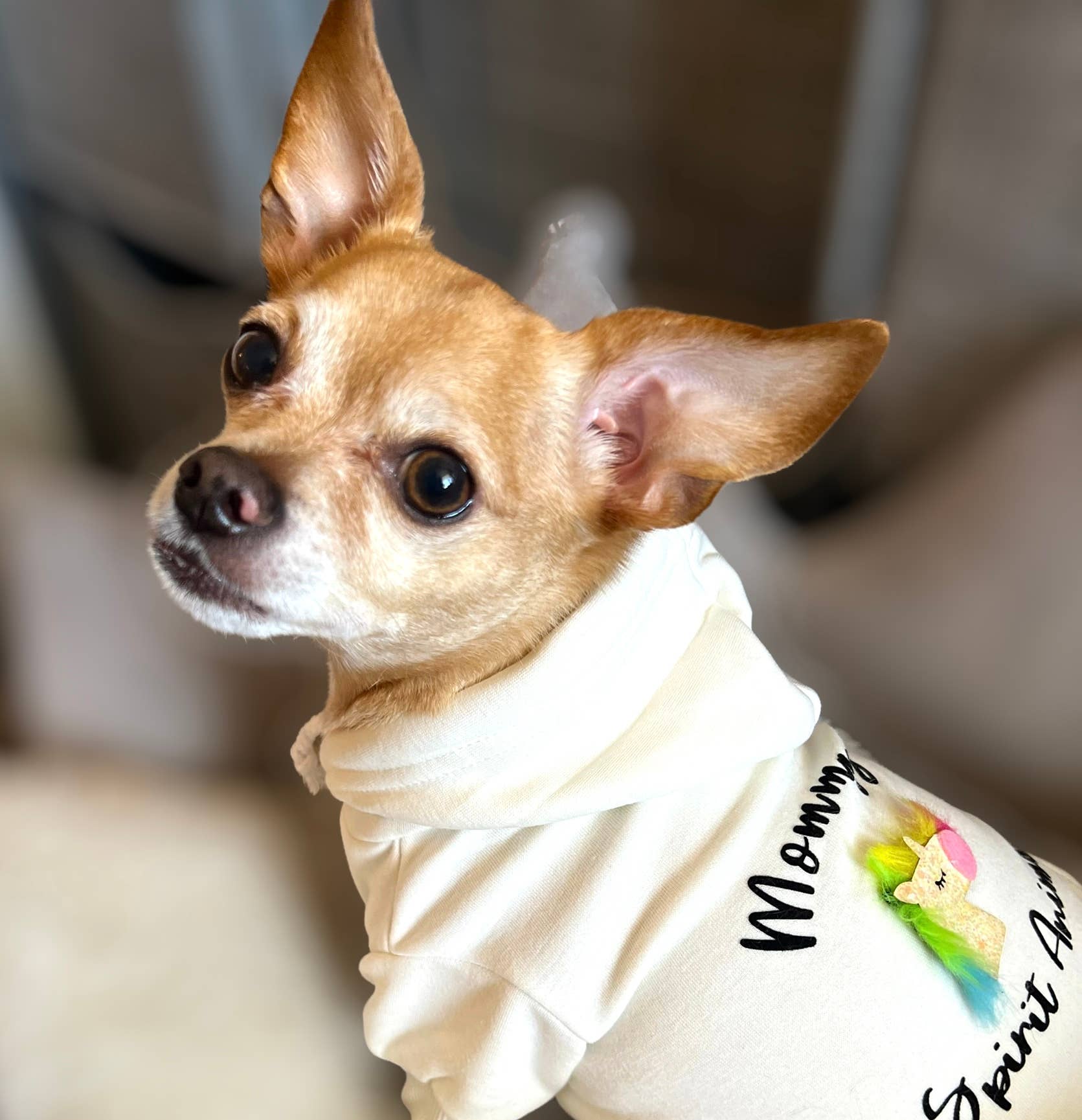 Bark Fifth Avenue - Wholesale Pet Hoodie - Dog - Mommy's Spirit Animal Hoodie4