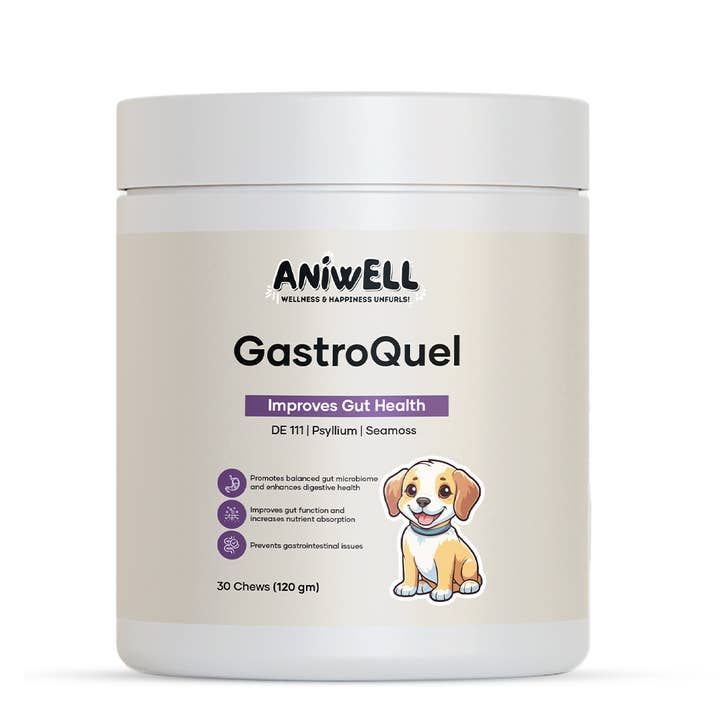Aniwell GastroQuel: A Powerful Probiotics Solution For Gut for wholesale by Aniwell