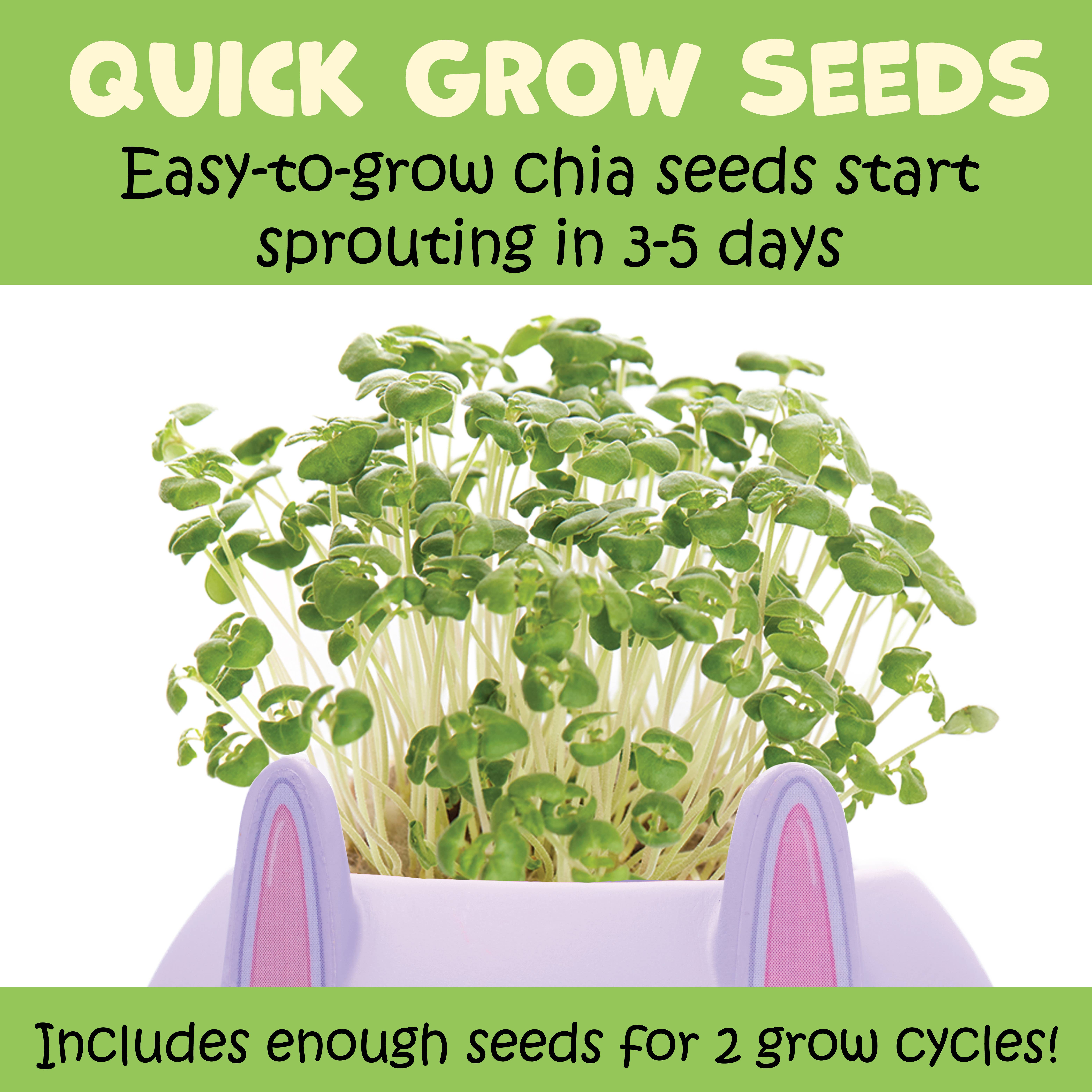 Faber-Castell / Creativity for Kids - Wholesale DIY Craft Kit - Kids - Plant a Pet Mini Grow Craft Kit for Kids 10