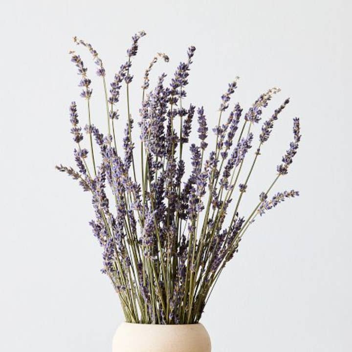 Natural Dried Lavender for wholesale by BRECK + FOX