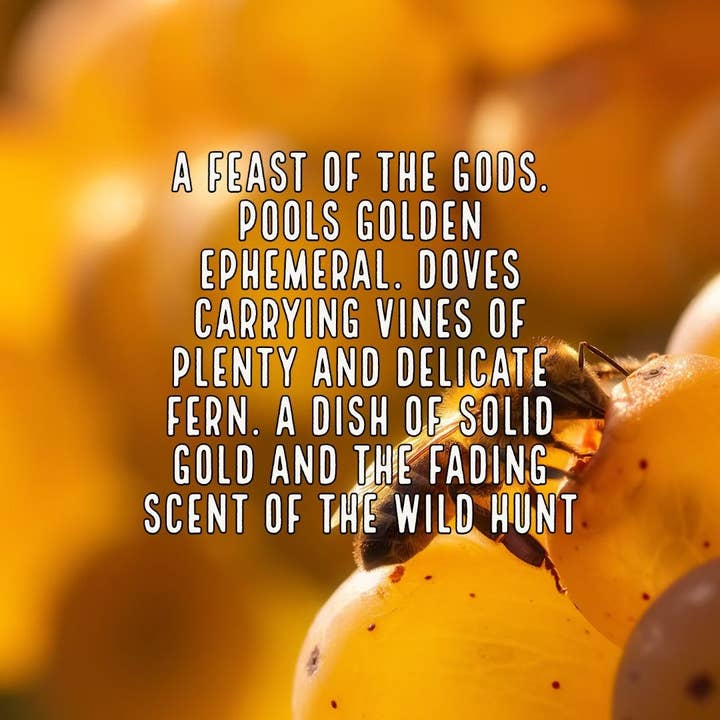 Apokrypha - Vendita all'ingrosso Profumi/Eau de toilette - Ambrosia2