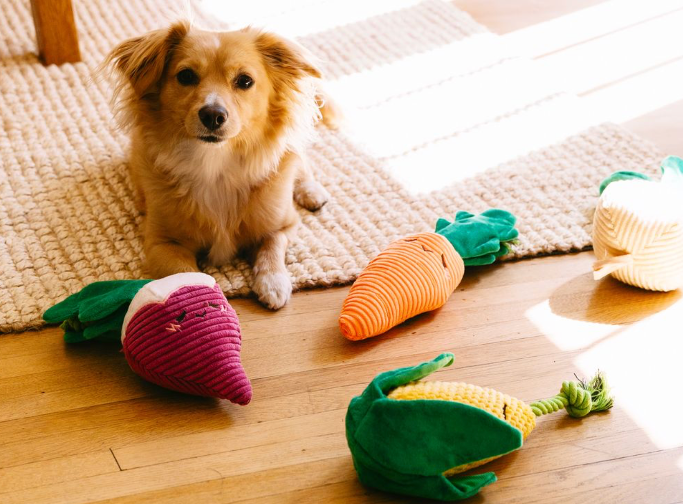 ZippyPaws - Wholesale Pet Toy - Dog - Crinkle Crops - Onion7