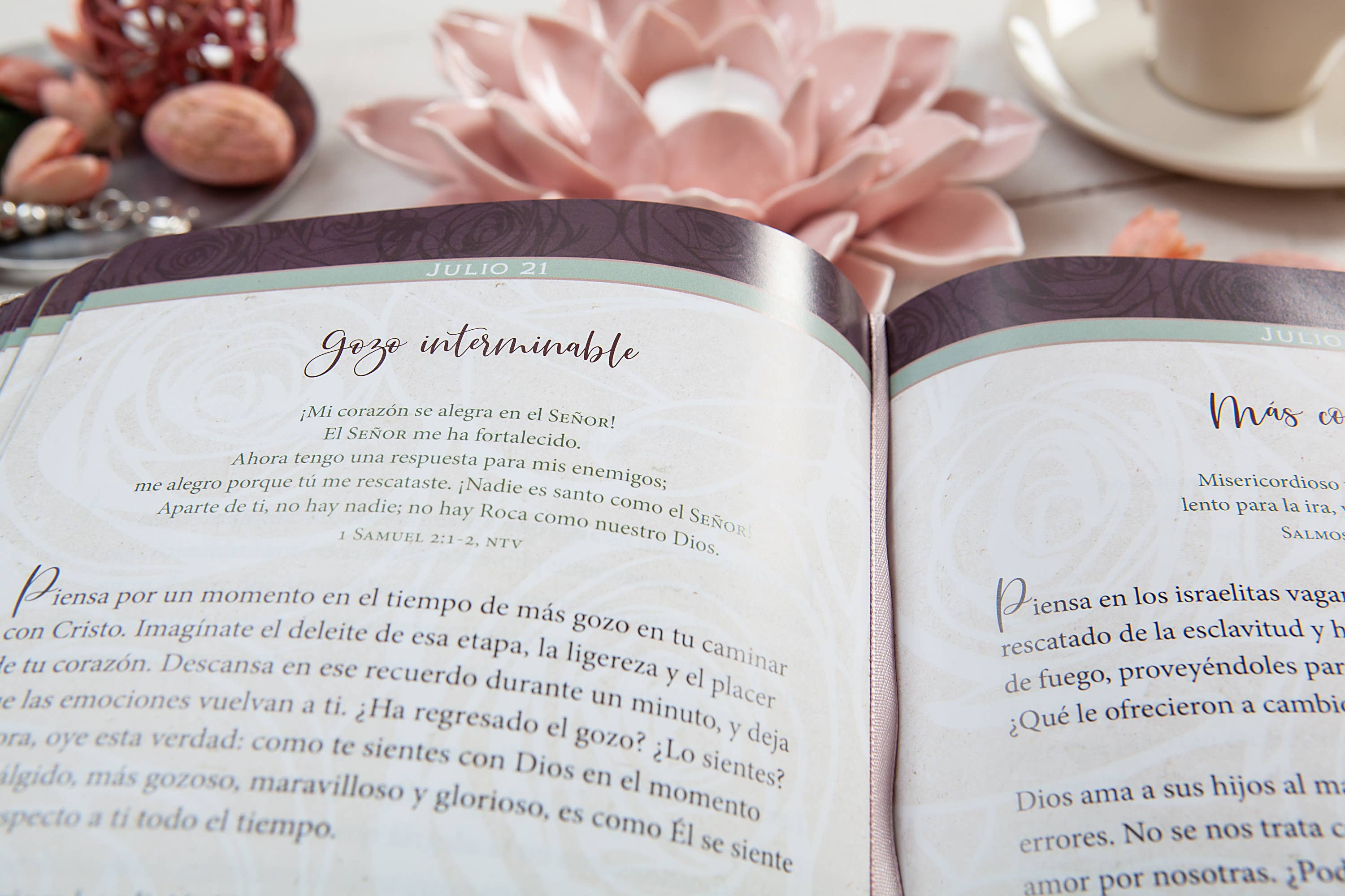 BroadStreet Publishing Group, LLC - Vente Religion - Fuerzas para cada día para la mujer (espagnol, Devo féminin)3