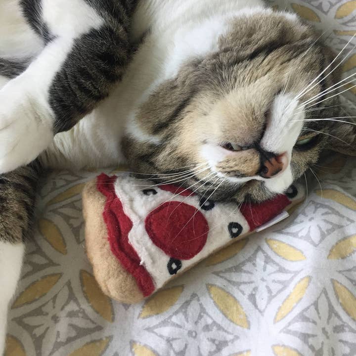 Miso Handmade - Wholesale Pet toy – Cat - Extra Crispy Catnip Pizza5