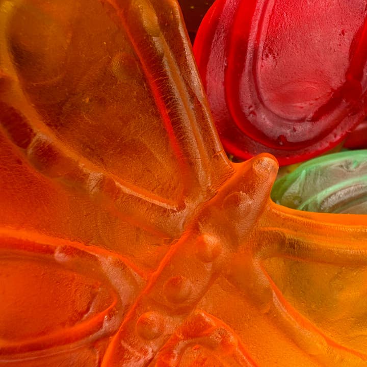 Martin's Country Store LLC - Wholesale Gummy - LARGE GUMMI BUTTERFLIES 12.8oz1
