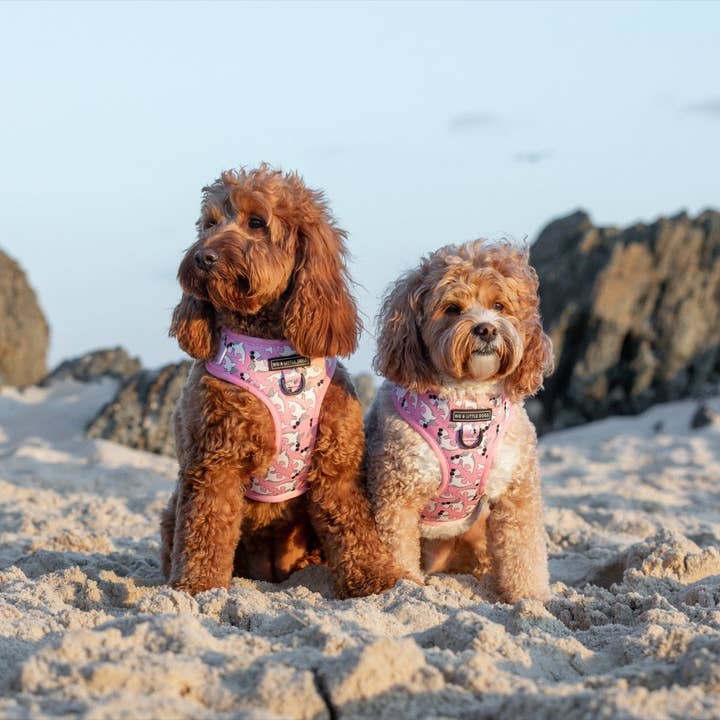 Big and Little Dogs - Wholesale Pet Harness - Dog - ADJUSTABLE DOG HARNESS: Bite Me (Pink Version) {DISCONTINUED}
