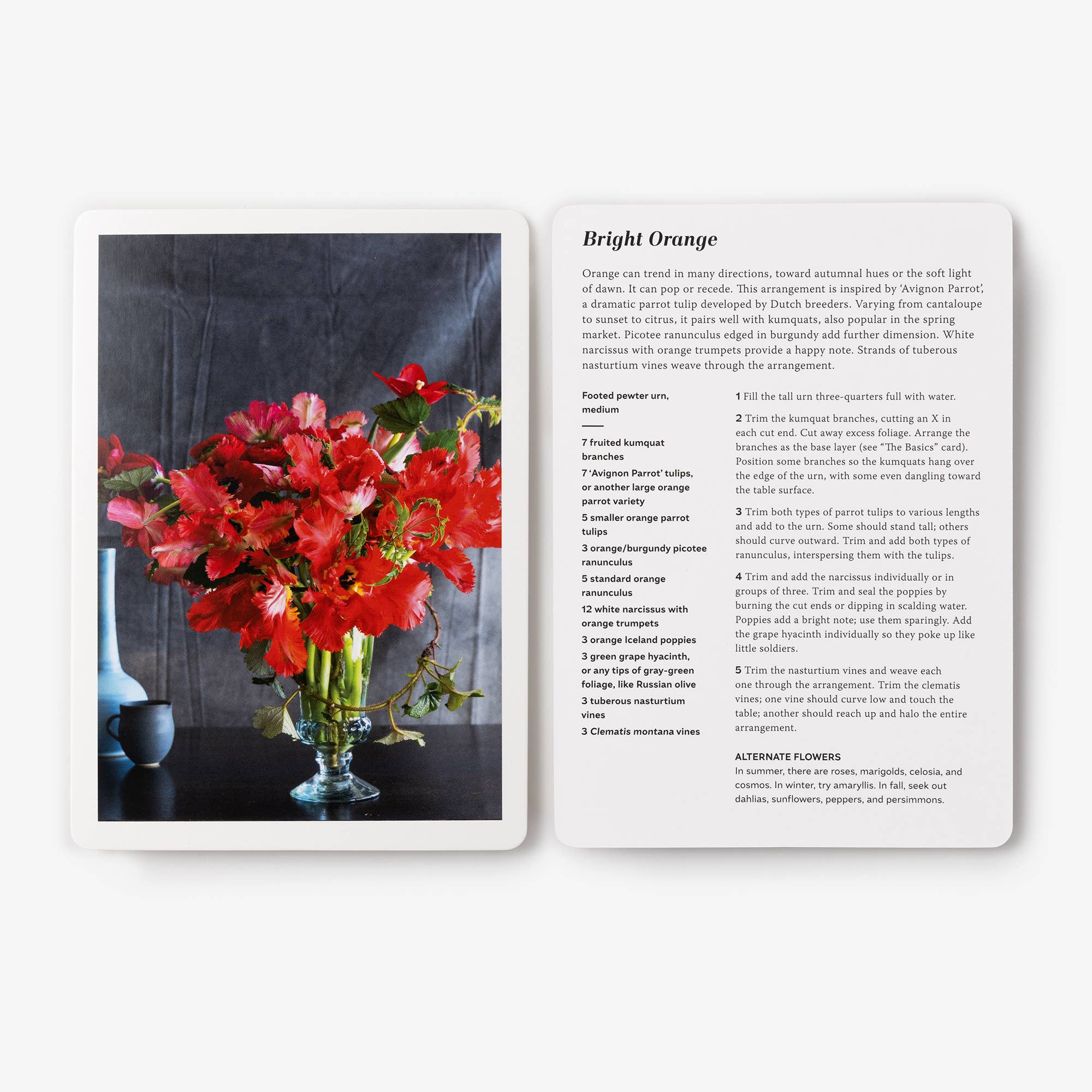 Penguin Random House LLC - Wholesale Home & Garden - Floral Deck, the7