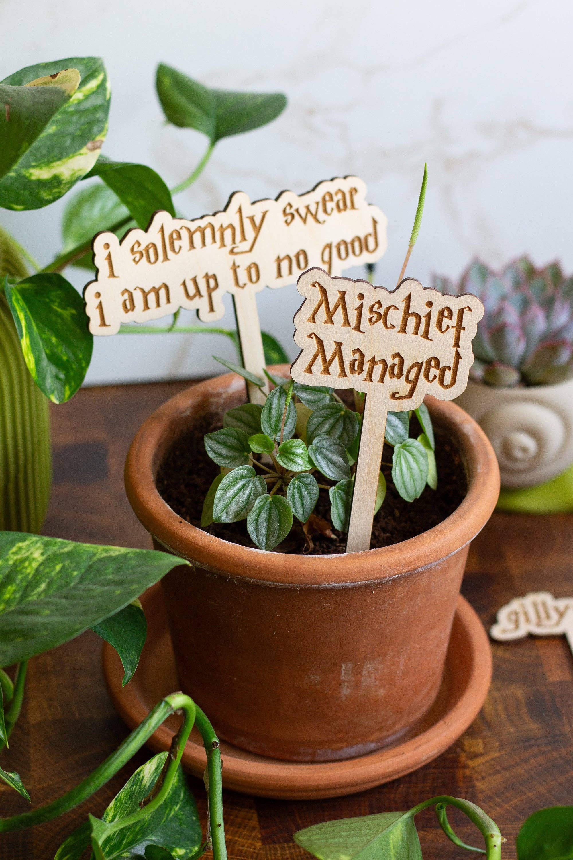 The Print Pantry - Wholesale Garden/Lawn Stake - Harry Potter Wooden Plant Markers5